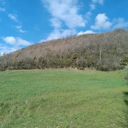 Casa Degli Uccellini - *